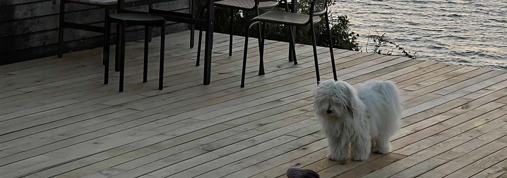 BIOBYG Terrassebrædder Lufttørret Egetræ