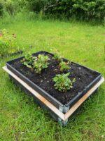 Sneglehegn der virker. Sneglehegn på pallerammer.