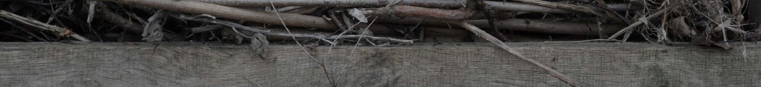 lufttørret eg træ banner - 04 - mørk 2600x300