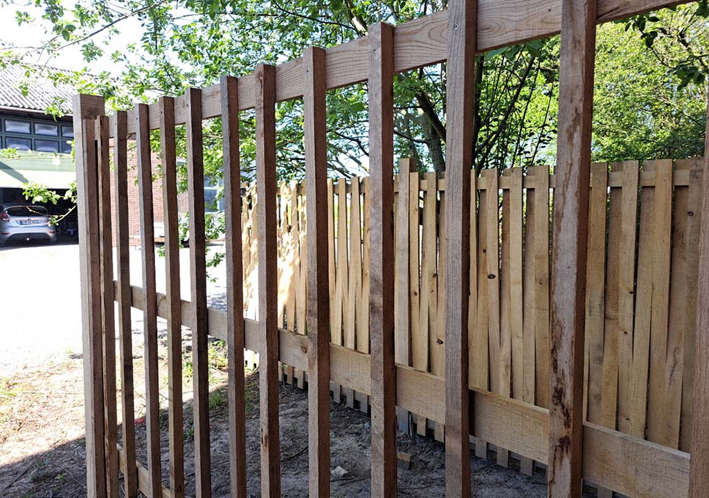 Hegn - kålorm 02 - 1024x720