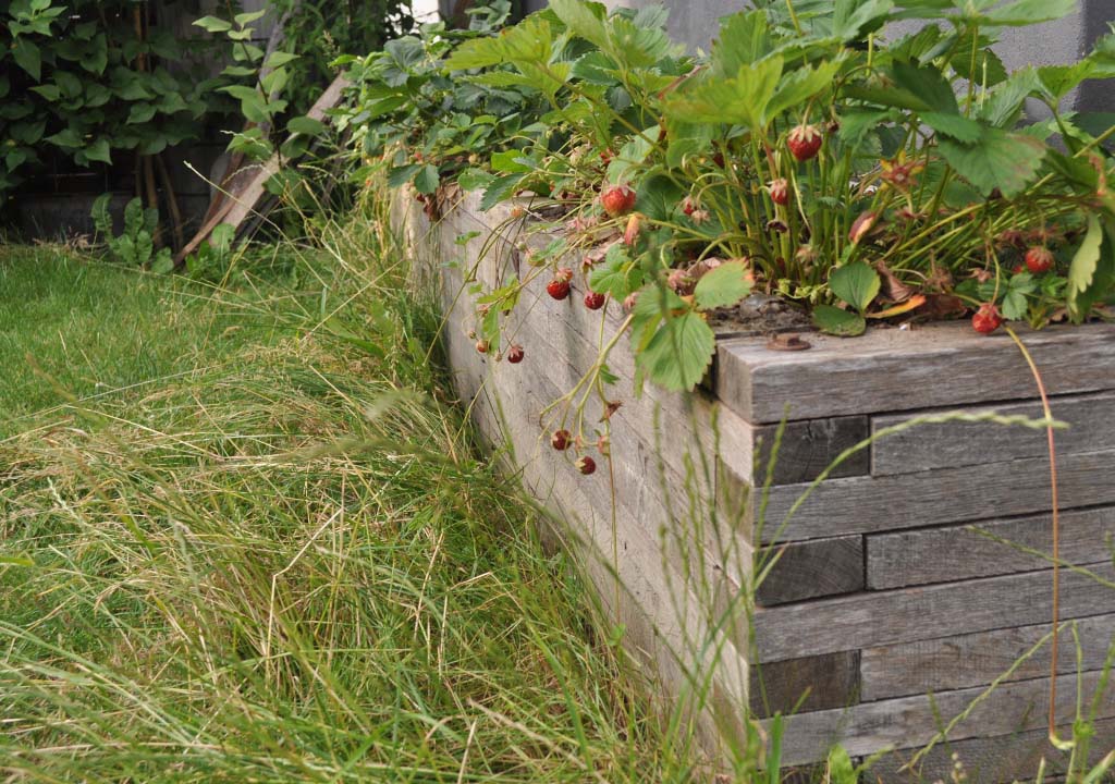 højbed - herregård med jordbær i fra højre - 1024x720