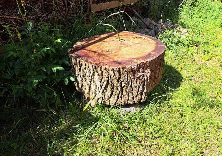 Pauseskiven 04 - 1024x720