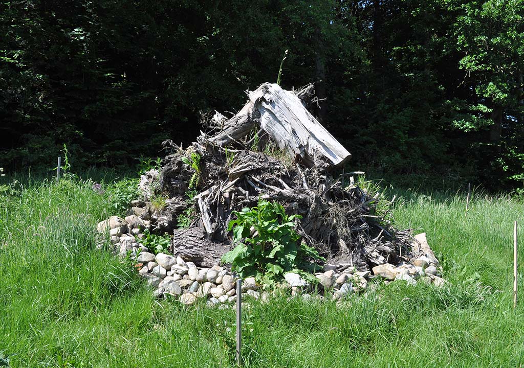 biotopia 2024 03 - 1024x720