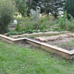 Sneglehegn - Billede 8