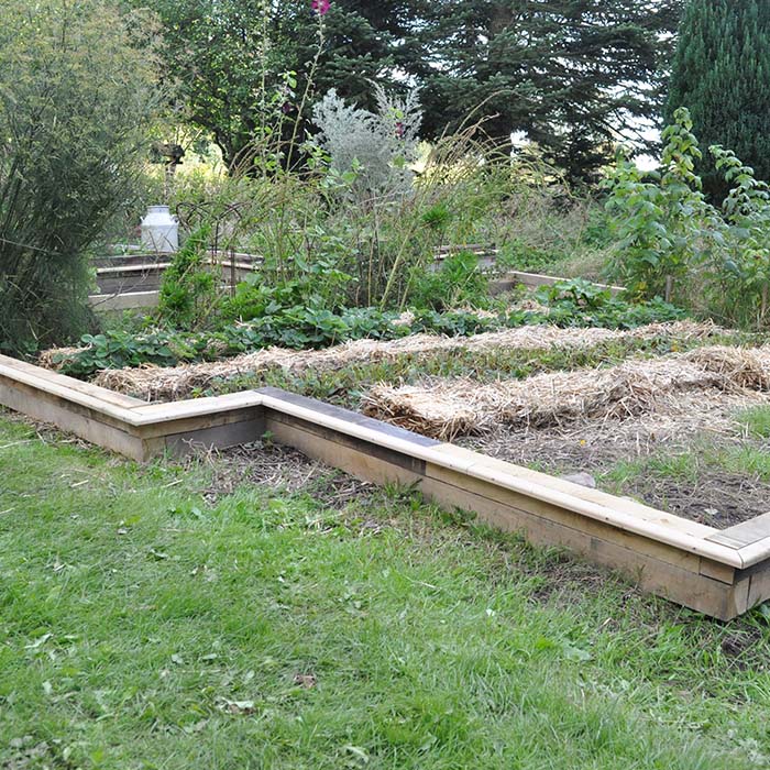 sneglehegn udvalgt billede 02 - 02102024 - 700x700