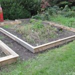 Sneglehegn - Billede 7