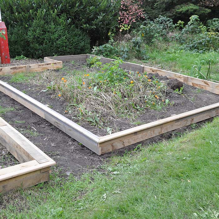 sneglehegn udvalgt billede 03 - 02102024 - 700x700