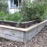 Sneglehegn - Billede 2