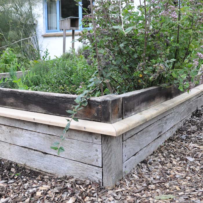 sneglehegn udvalgt billede 04 - 02102024 - 700x700