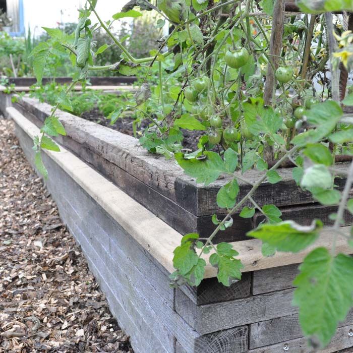 sneglehegn udvalgt billede 05 - 02102024 - 700x700