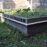 Sneglehegn - Billede 3