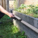 Sneglehegn - Billede 20