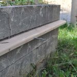 Sneglehegn - Billede 21