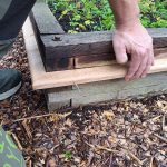 Sneglehegn - Billede 19