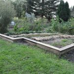 Sneglehegn - Billede 14