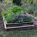 Sneglehegn - Billede 10