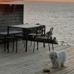 Terrassebrædder - Billede 11