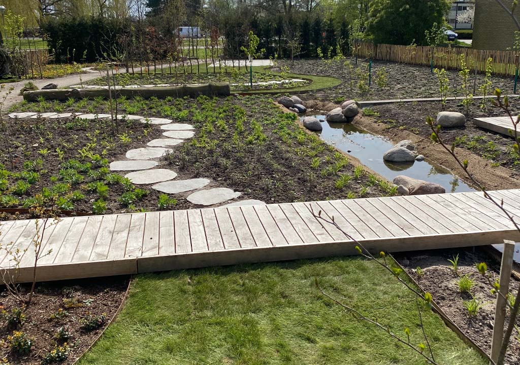 b2b - skovhaver.dk - IMG_2198