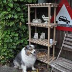 udendørs reol mursejler med hund - 600x600