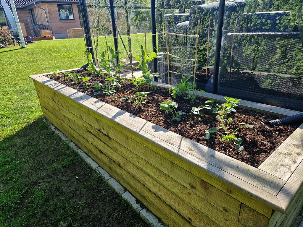 undefined - Imgur (2) (1)